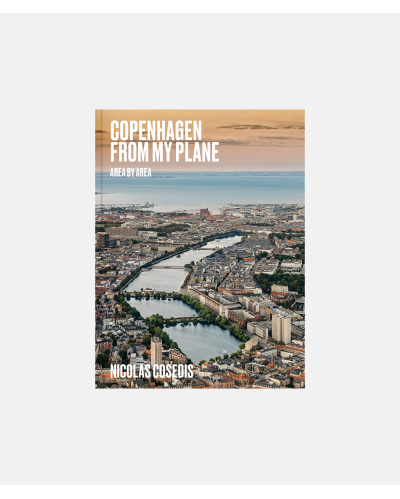 Copenhagen from My Plane